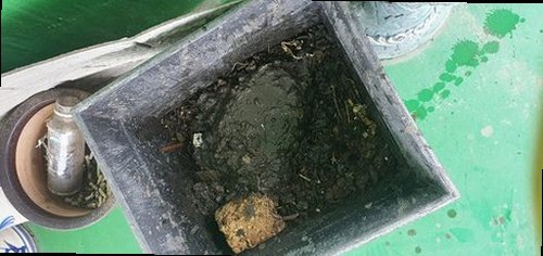 서초구 양재1동 하수구막힘 배수구 주변 상태와 물 고임을 확인하는 모습